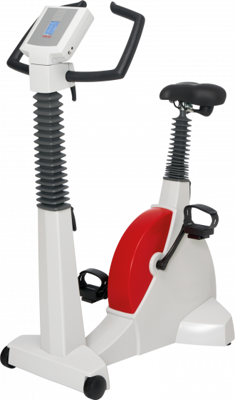 Sanabike 1000 seitlich 1
